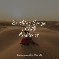 Soothing Songs | Chill Ambience