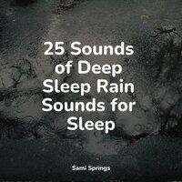 25 Sounds of Deep Sleep Rain Sounds for Sleep