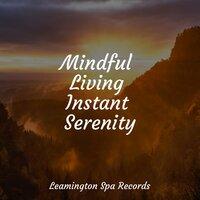 Mindful Living Instant Serenity