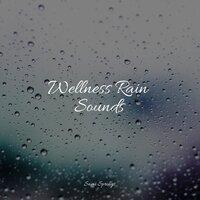 Wellness Rain Sounds