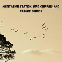 Meditation Station: Bird Chirping and Nature Sounds