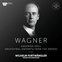 Wagner: Siegfried-Idyll & Orchestral Excerpts from the Operas