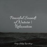 Peaceful Sounds of Nature | Relaxation