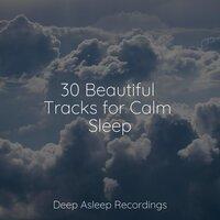30 Beautiful Tracks for Calm Sleep