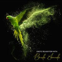 Exotic Relaxation with Birds Sounds