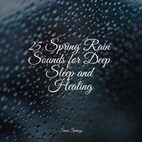 25 Spring Rain Sounds for Deep Sleep and Healing