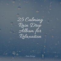 25 Calming Rain Drop Album for Relaxation