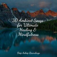 30 Ambient Songs for Ultimate Healing & Mindfulness