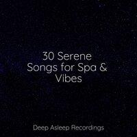 30 Serene Songs for Spa & Vibes
