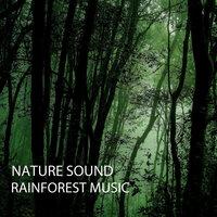 Nature Sound: Rainforest Music
