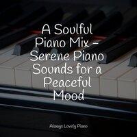 A Soulful Piano Mix - Serene Piano Sounds for a Peaceful Mood