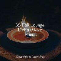 35 Fall Lounge Delta Wave Songs