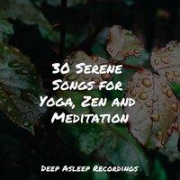 30 Serene Songs for Yoga, Zen and Meditation