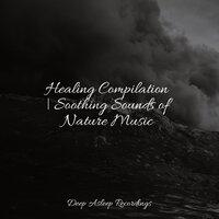 Healing Compilation | Soothing Sounds of Nature Music