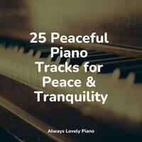 25 Peaceful Piano Tracks for Peace & Tranquility