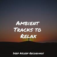 Ambient Tracks to Relax