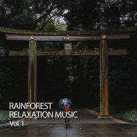 Rainforest Relaxation Music Vol. 1