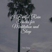 25 Restful Rain Tracks for Meditation and Sleep