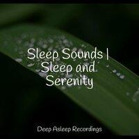 Sleep Sounds | Sleep and Serenity