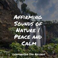 Affirming Sounds of Nature | Peace and Calm