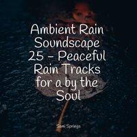 Ambient Rain Soundscape 25 - Peaceful Rain Tracks for a by the Soul
