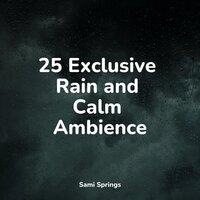 25 Exclusive Rain and Calm Ambience