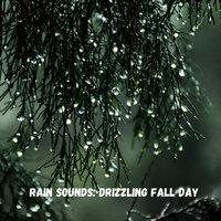 Rain Sounds: Drizzling Fall Day