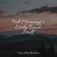 Fall Mornings | Early Beach Stroll