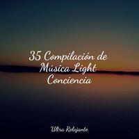 35 Compilación de Música Light Conciencia
