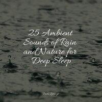 25 Ambient Sounds of Rain and Nature for Deep Sleep