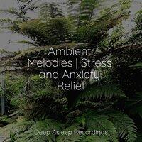 Ambient Melodies | Stress and Anxiety Relief