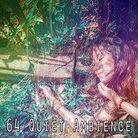 64 Quiet Ambience