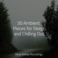 30 Ambient Pieces for Sleep and Chilling Out