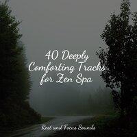 40 Deeply Comforting Tracks for Zen Spa