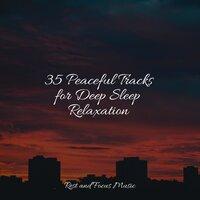35 Peaceful Tracks for Deep Sleep Relaxation