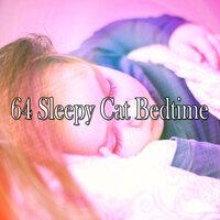 64 Sleepy Cat Bedtime