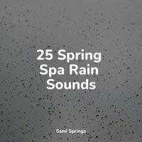 25 Spring Spa Rain Sounds