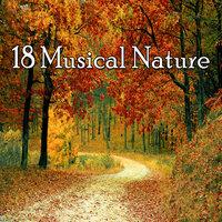 18 Музыкальная природа