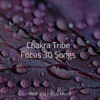 Chakra Tribe Focus 30 Songs