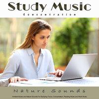 Study Music For Concentration: Ambient Music and Nature Sounds For Studying, Focus, Concentration, Reading Music and Work Music