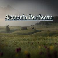 Armonia Perfecta