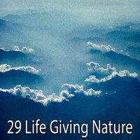 29 Природа, дающая жизнь