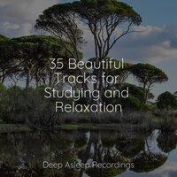 35 Beautiful Tracks for Studying and Relaxation