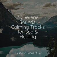 35 Serene Sounds: Calming Tracks for Spa & Healing