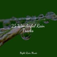 25 Wonderful Rain Tracks