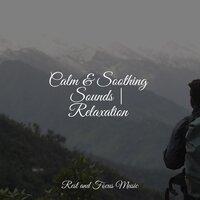 Calm & Soothing Sounds | Relaxation