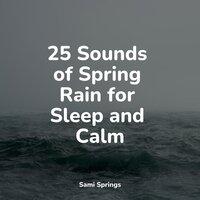 25 Sounds of Spring Rain for Sleep and Calm