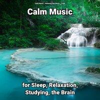 Calm Music for Sleep, Relaxation, Studying, the Brain