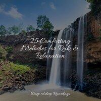 25 Comforting Melodies for Reiki & Relaxation