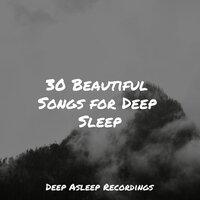 30 Beautiful Songs for Deep Sleep